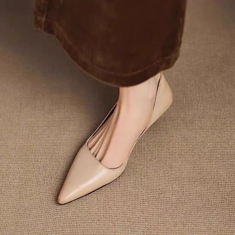 Women's Pointed Toe Stiletto H - Women'S Heels review and price