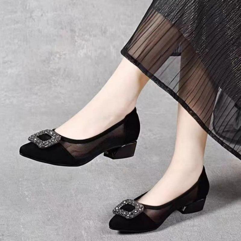 Elegant Pointed Toe Mesh Block - Women'S Heels review and price